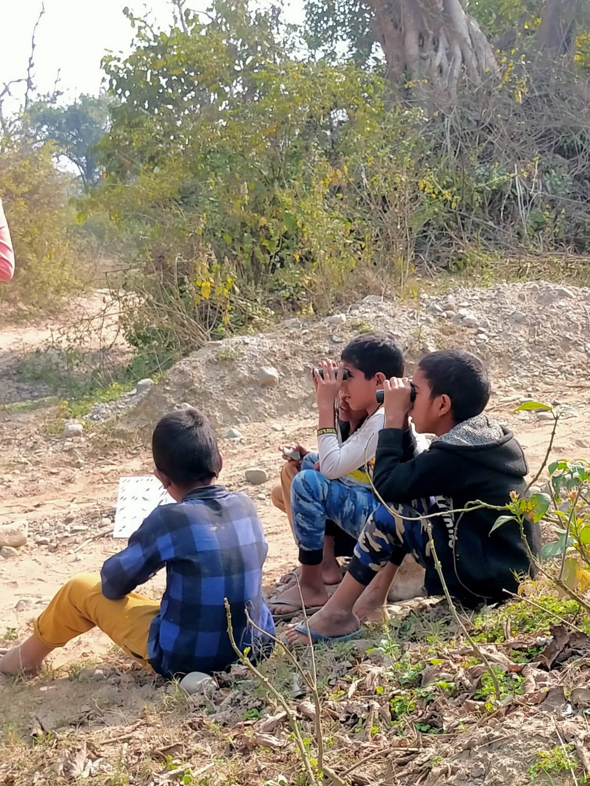 Nature education photo