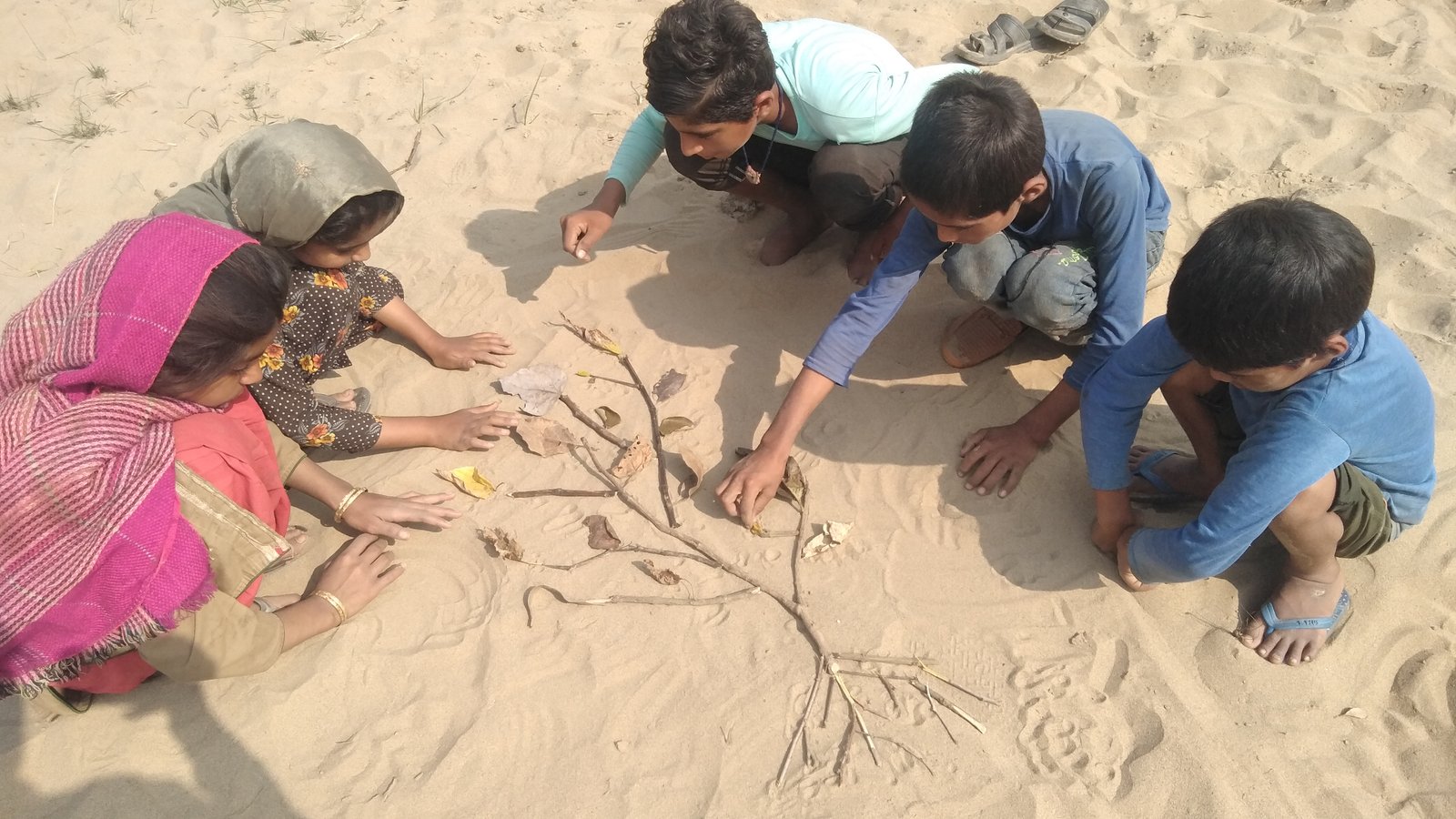 MAEE Environment photo
